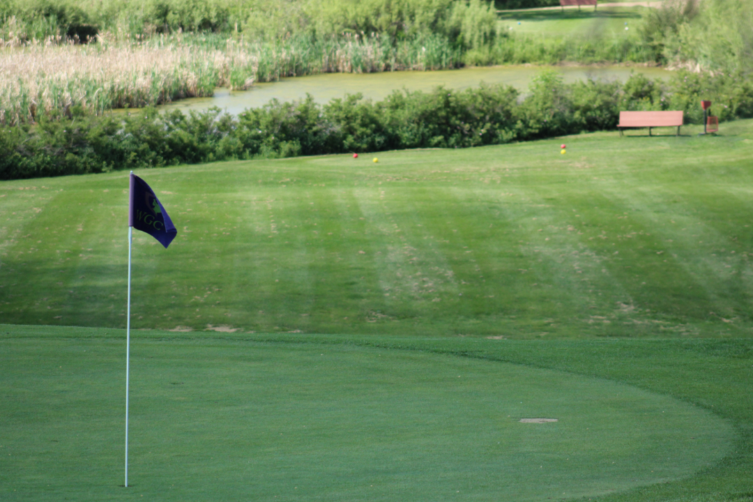 Swing for Scholarships Community backs education portals